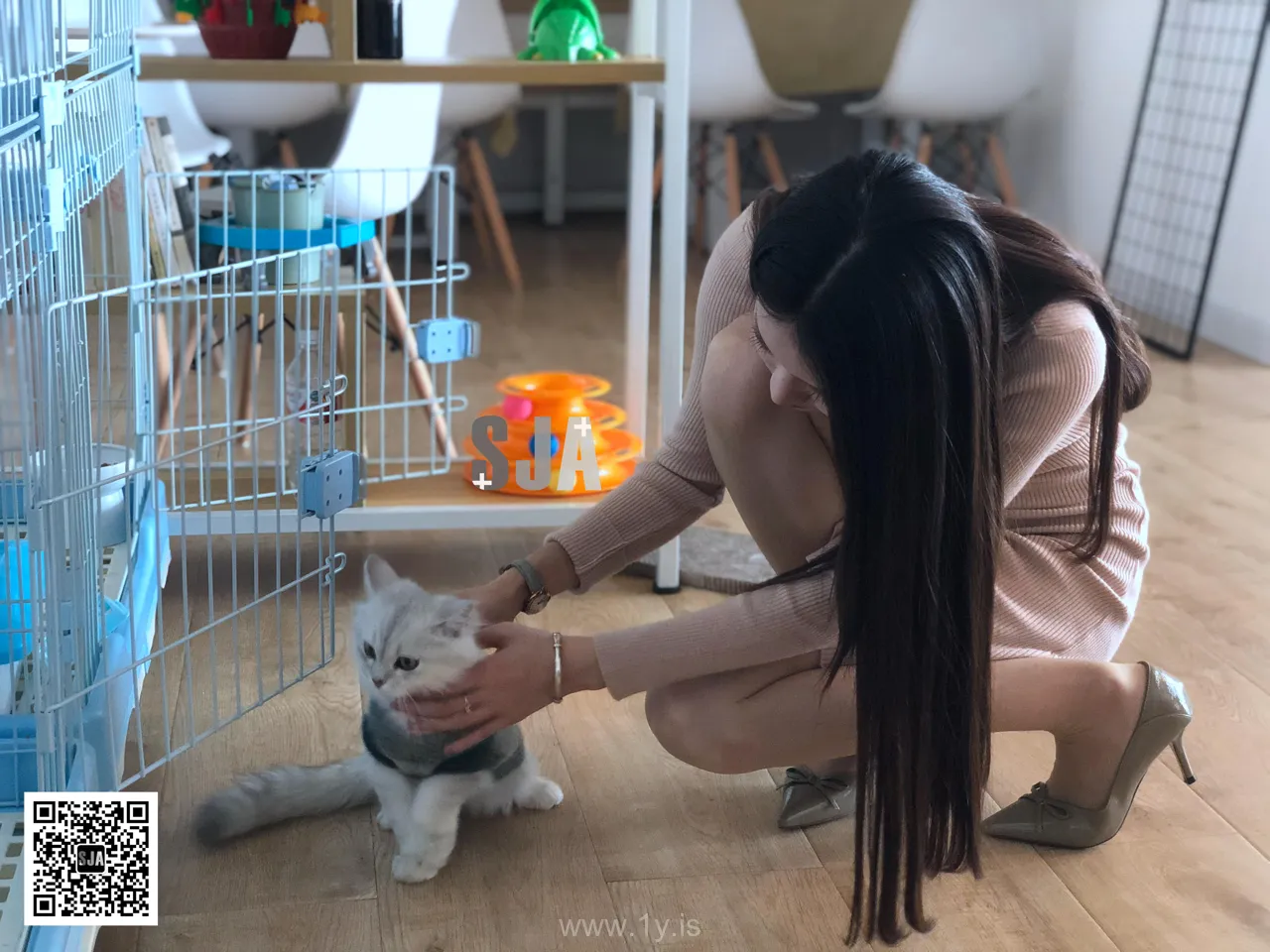 SJA佳爷 VOL.013 闺蜜视角《喵》